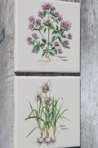 ceramic kitchen tiles w/ botanical herb prints of culinary herbs