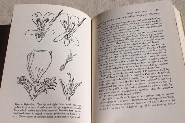 cottage flowers 40s 50s vintage garden book Geraniums Pelargoniums w/ illustrations