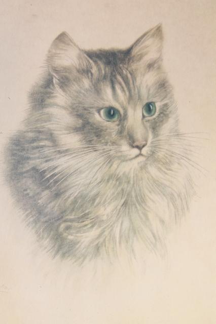 dog & cat pictures, mid-century vintage framed prints, terrier puppy & long haired tabby kitty