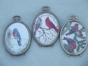 domed bubble glass framed miniatures, vintage bird print set