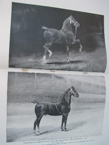 early 1900s The Breeder's Gazette magazines, farm livestock photos