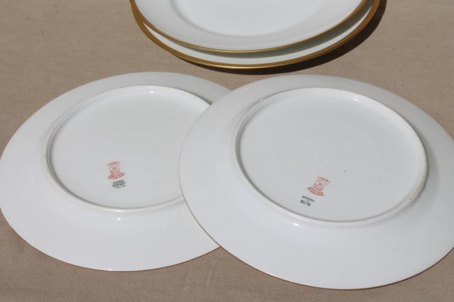 encrusted gold wedding band china plates, pure white Limoges porcelain Elite mark