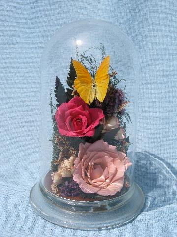 flowers & butterfly, glass dome cover natural history display mount
