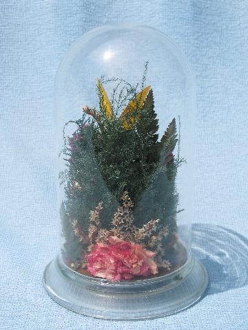 flowers & butterfly, glass dome cover natural history display mount