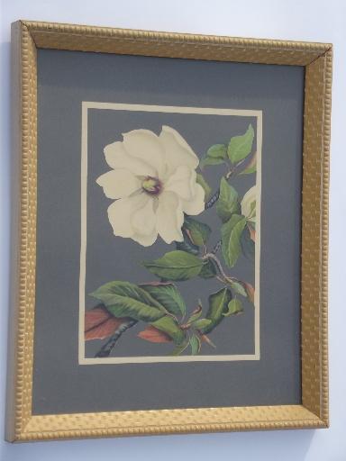 framed vintage floral litho prints, 40s Turner print style in old frames