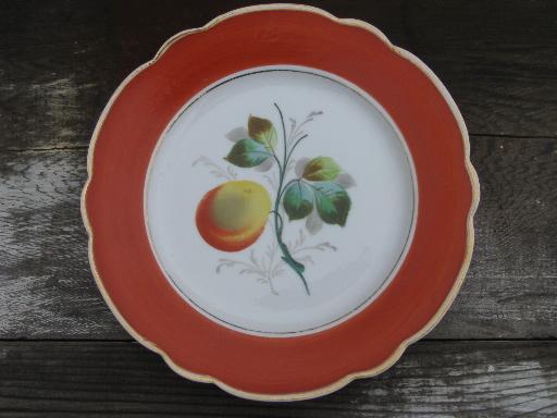 fruit and flowers, antique hand-painted china plates w/ colored borders