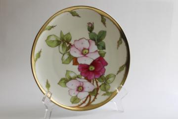 hand painted Bavaria china plate, wild roses floral w/ gold, early 1900s vintage  
