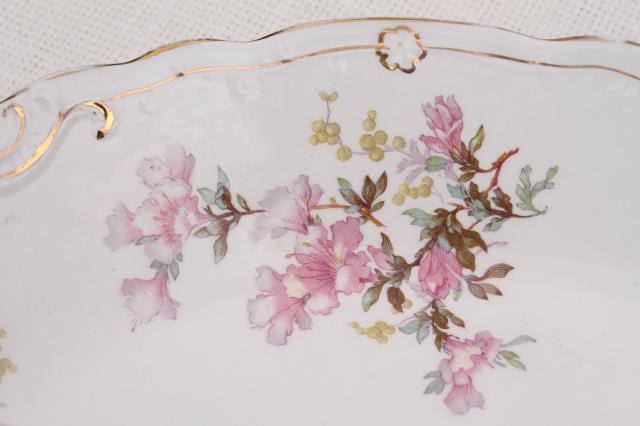 huge heavy antique china turkey platter or tray, vintage Wedgwood pink azalea floral 