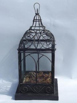 large tabletop glass house, wrought iron birdcage terrarium display box