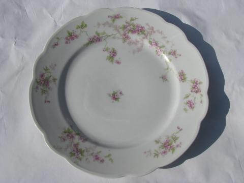 lavender roses floral, antique vintage Austria china plates