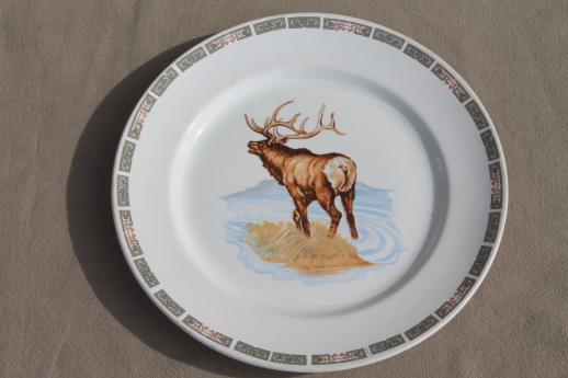lone stag elk antique china plate, early 1900s vintage Illinois china