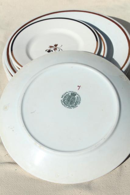lot of antique Tea Leaf white ironstone china plates, 1800s vintage