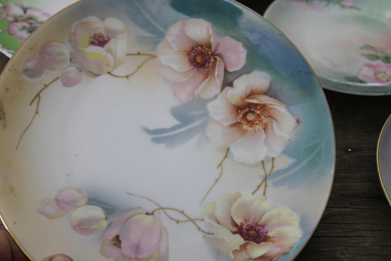 lot of antique  vintage hand painted china plates, wild rose roses florals, romantic cottage chic
