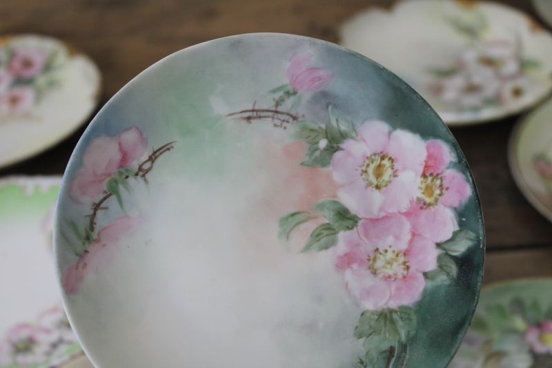 lot of antique  vintage hand painted china plates, wild rose roses florals, romantic cottage chic