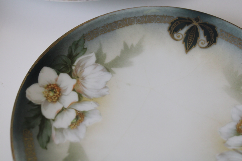 mismatched vintage china plates beautiful florals all white flowers RS Germany etc