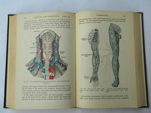 old 1930s medical anatomy textbook w/ color illustrations and engravings