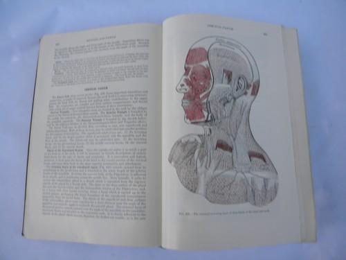 old 50s vintage medical book Gray's Anatomy Human Body color engravings