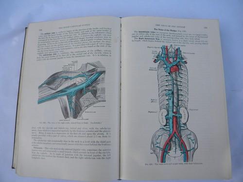 old 50s vintage medical book Gray's Anatomy Human Body color engravings