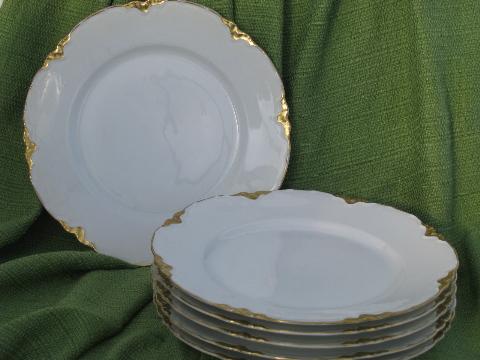 old Bavaria china plates, pure white porcelain w/ gold ribbon border