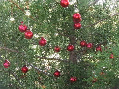 Miniature Feather Tree