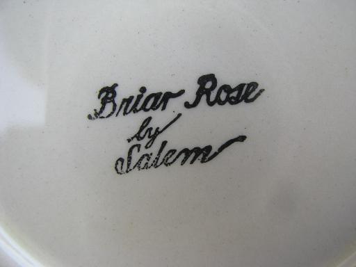 platinum trim Briar Rose vintage Salem china dishes, embossed floral rim