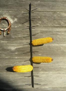 primitive iron ear corn dryer, seed,indian or popcorn, old farm tool