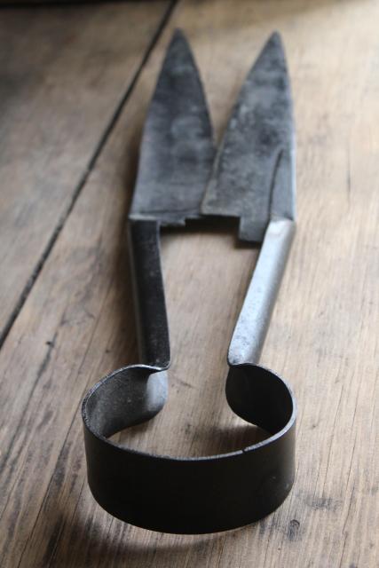 primitive old farm tool, hand shears sheep shearing scissors forged steel