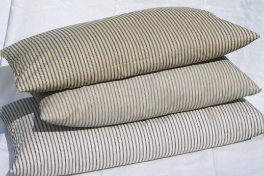 primitive old feather pillows, vintage blue stripe cotton ticking fabric