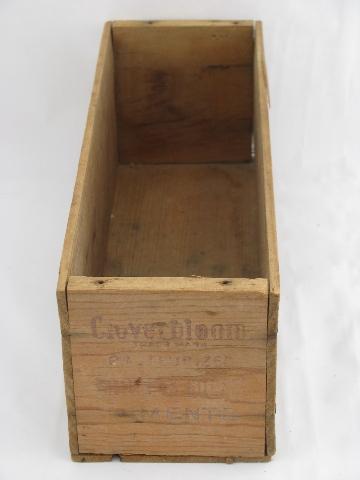 primitive old wood cheese box, vintage Cloverbloom wooden crate