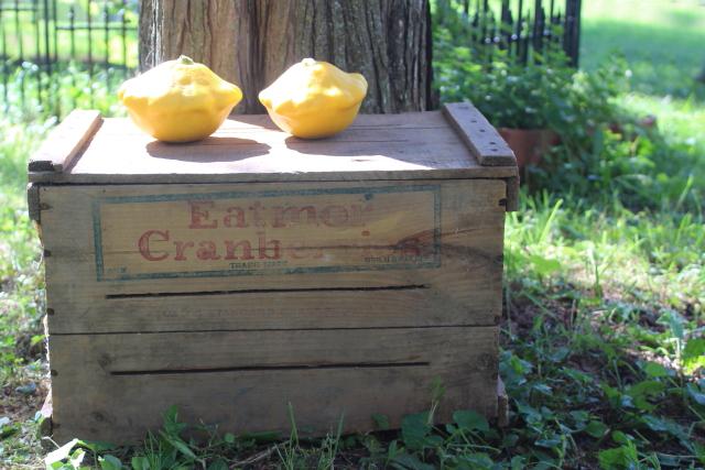 primitive vintage wood box, Eatmor Cranberries fruit crate, rustic farmhouse storage