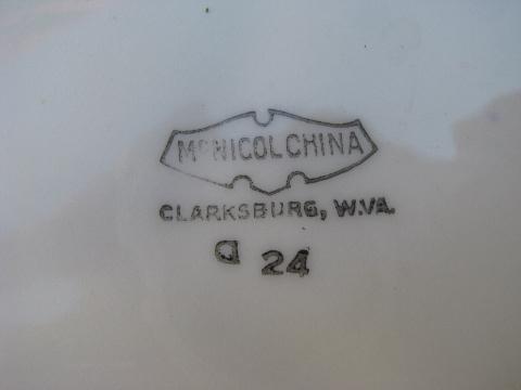 rare old blue delft ironstone restaurant china, divided grill plate