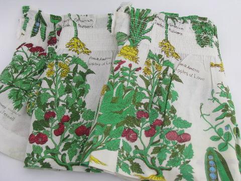 retro kitchen botanical latin herbs & vegetables print cafe curtains