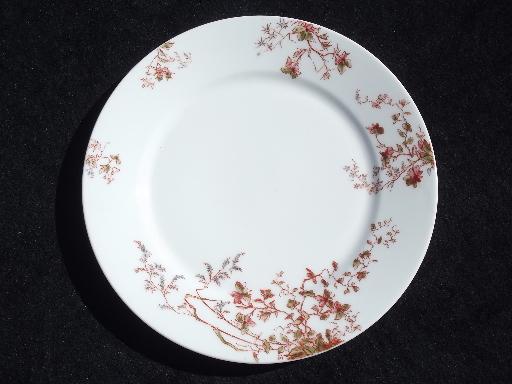 russet brown flowers antique Limoges - France china, 12 plates and platter