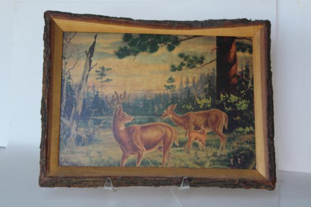 rustic vintage tree bark frame w/ woodland deer print, paint by number style