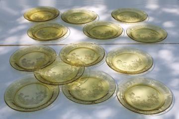set of 10 depression glass dinner plates, Sharon cabbage rose Federal glass amber yellow