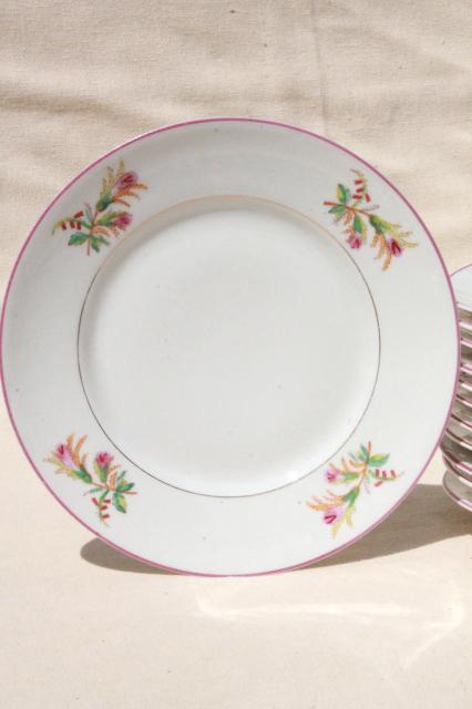 set of 12 antique vintage hand painted moss rose porcelain salad or luncheon plates