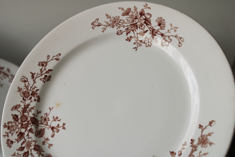set of 8 antique heavy white ironstone china plates, brown floral transferware