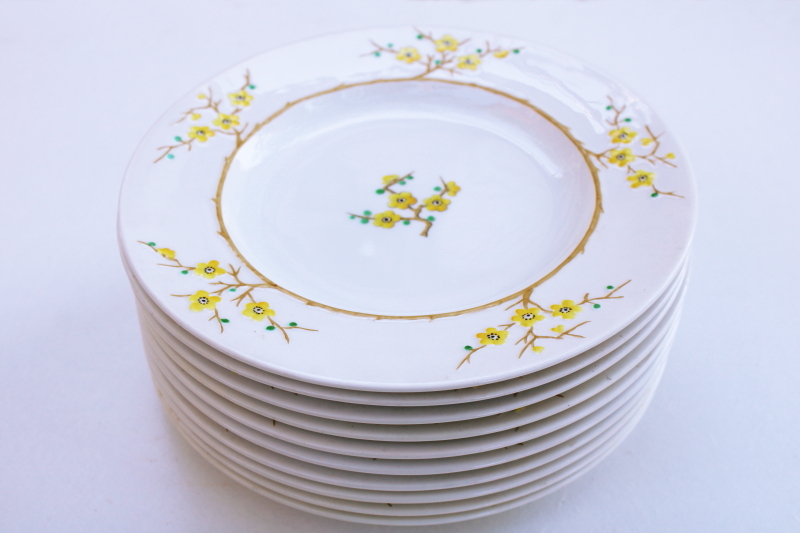 set of plates vintage Spode Geisha plum or cherry blossom hand painted Blanche de Chine