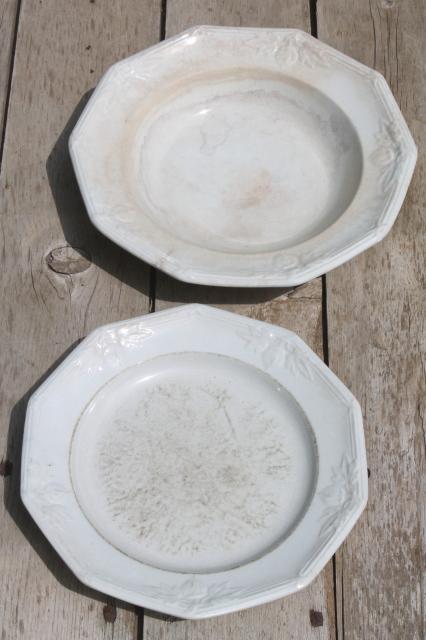 shabby antique 1800s vintage ironstone china plate & bowl, embossed horse chestnut pattern