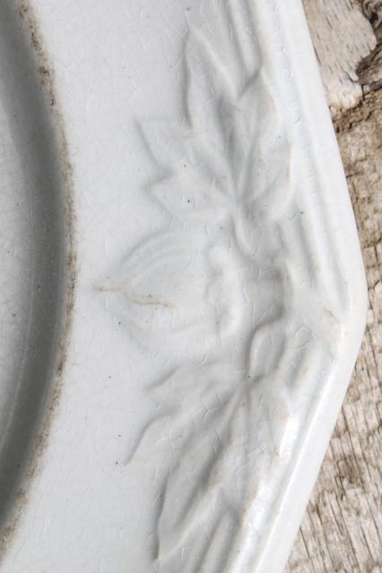 shabby antique 1800s vintage ironstone china plate & bowl, embossed horse chestnut pattern