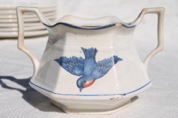 shabby vintage bluebird china sugar bowl, large tall vase shape perfect for flower vase