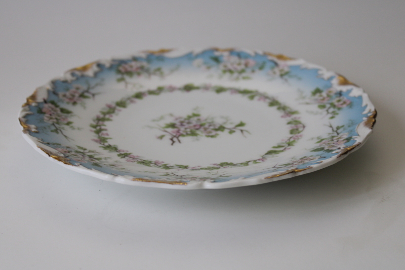 turn of the century vintage hand painted china plate T&V Tressemanes and Vogt Limoges France