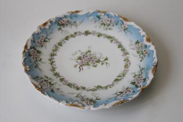 turn of the century vintage hand painted china plate T&V Tressemanes and Vogt Limoges France