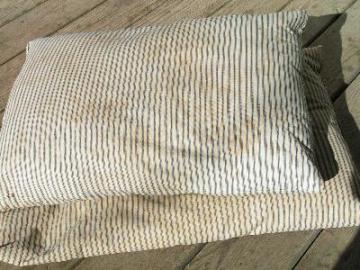 two old feather pillows, vintage blue and white ticking