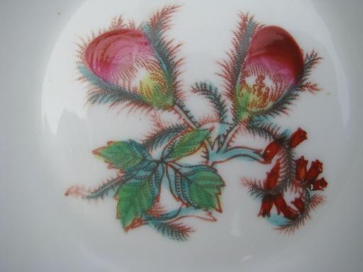 unmarked Haviland china moss rose center fruit bowls, 10 antique bowls