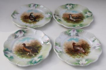 unmarked antique lusterware plates w/ game birds, Limoges, Austria, Bavaria?