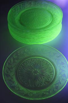 https://laurelleaffarm.com/item-photos/uranium-glow-green-depression-glass-vintage-US-Glass-scroll-pattern-plates-Laurel-Leaf-Farm-item-no-m2844t.jpg