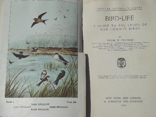 vintage 1912 book Bird Life, antique color plate prints bird illustrations