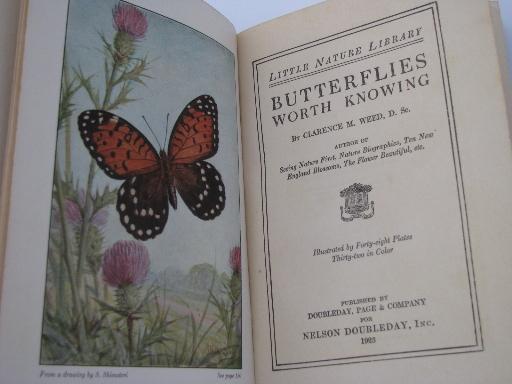 vintage 1920s Little Nature Library, natural history / botanical color plates
