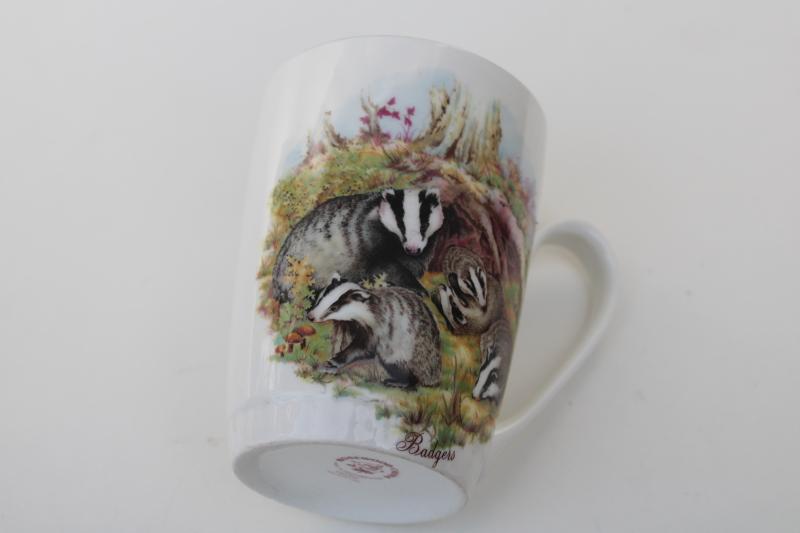vintage Badgers woodland animals Rosewood English fine bone china tea mug coffee cup
